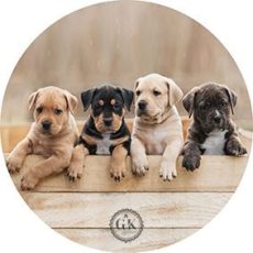 Dekorációs ostya - Kölyökkutyusok