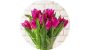 Dekorációs ostya - Tulipános