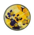 Ehető virág árvácska 15 db