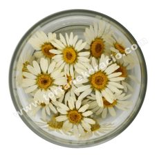 Ehető virág százszorszép imp. 15 db