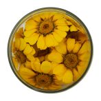 Ehető virág margaréta sárga imp. 15 db