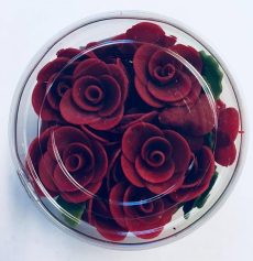 Mini rózsa bordó
