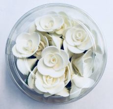 Mini rózsa fehér