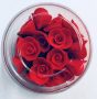 Mini rózsa piros